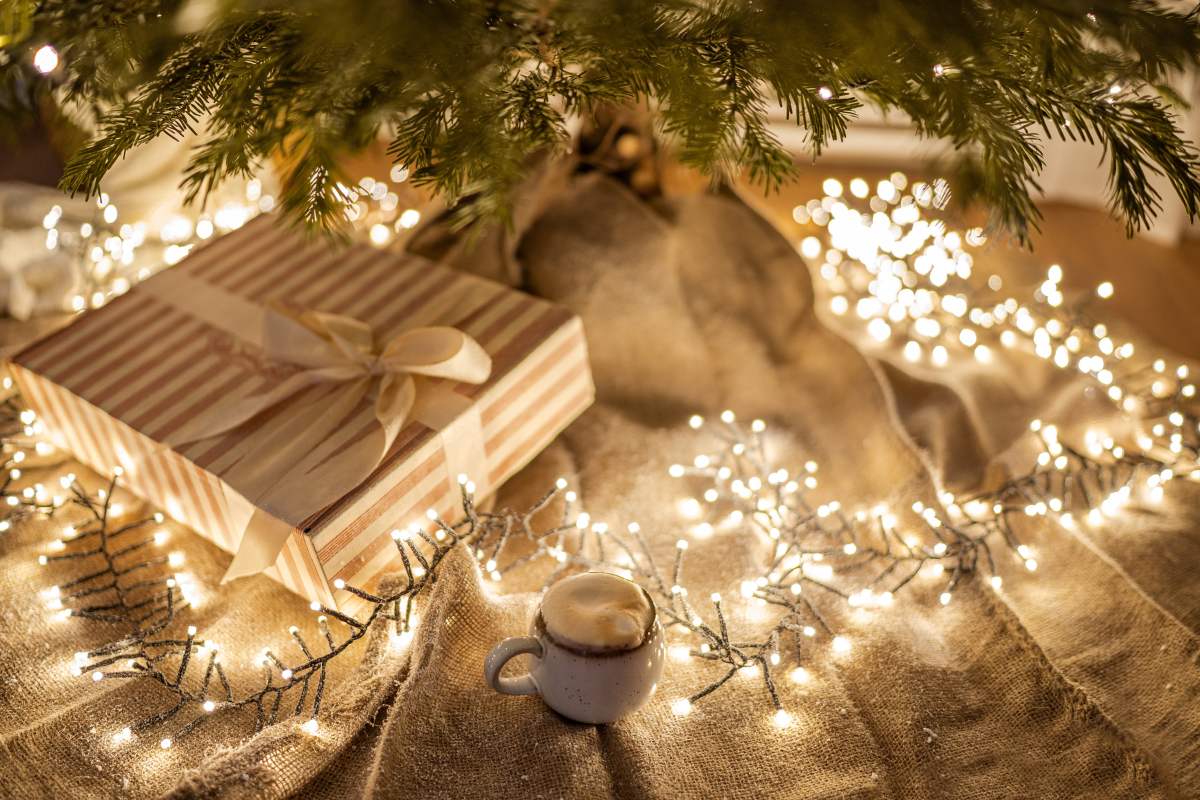 Photo of Christmas lights and gifts under a tree